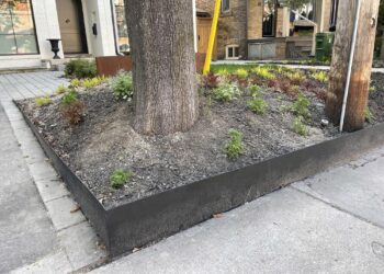 Image1111111111111111111111111111 Image1111111111111111111111111111